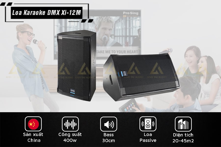 Loa karaoke DMX XI-12M