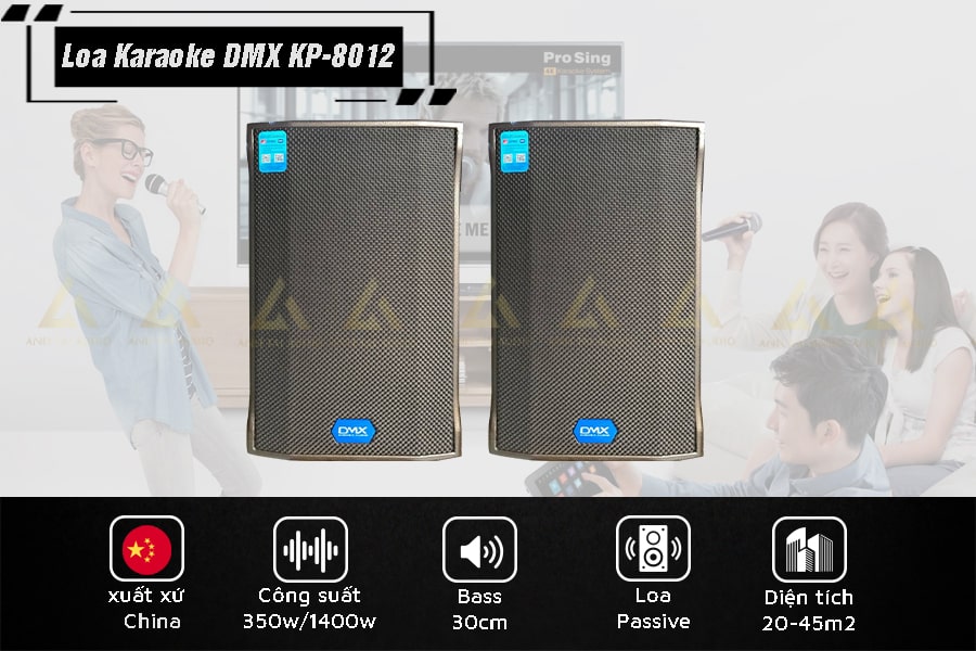 Loa karaoke DMX KP-8012