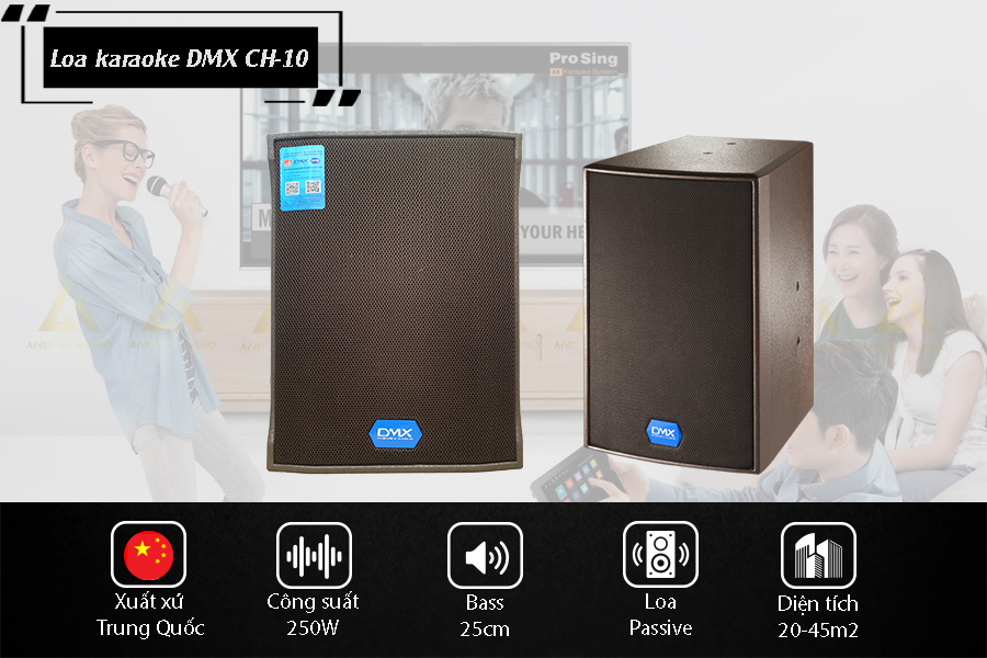 Thông số chính của loa karaoke DMX CH-10
