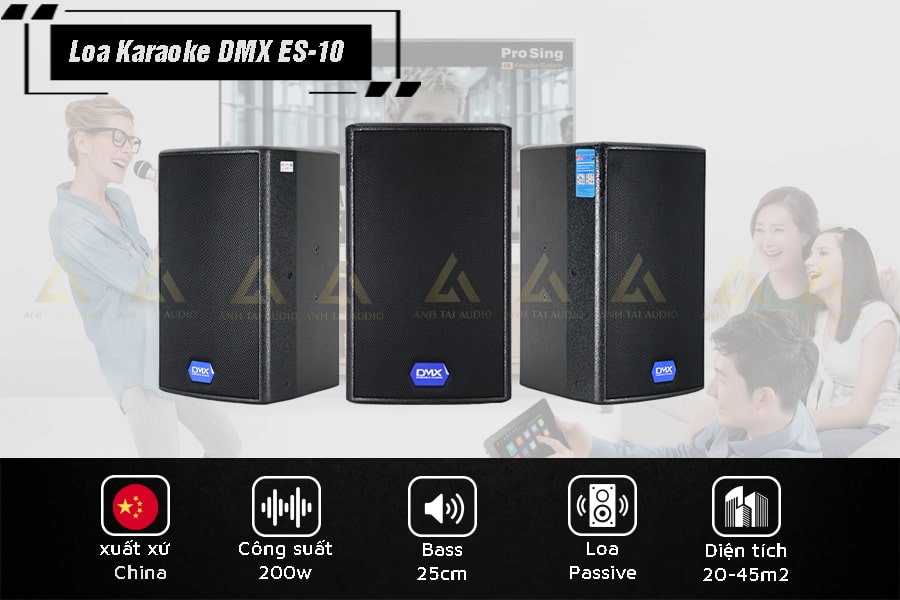 Loa karaoke DMX ES-10