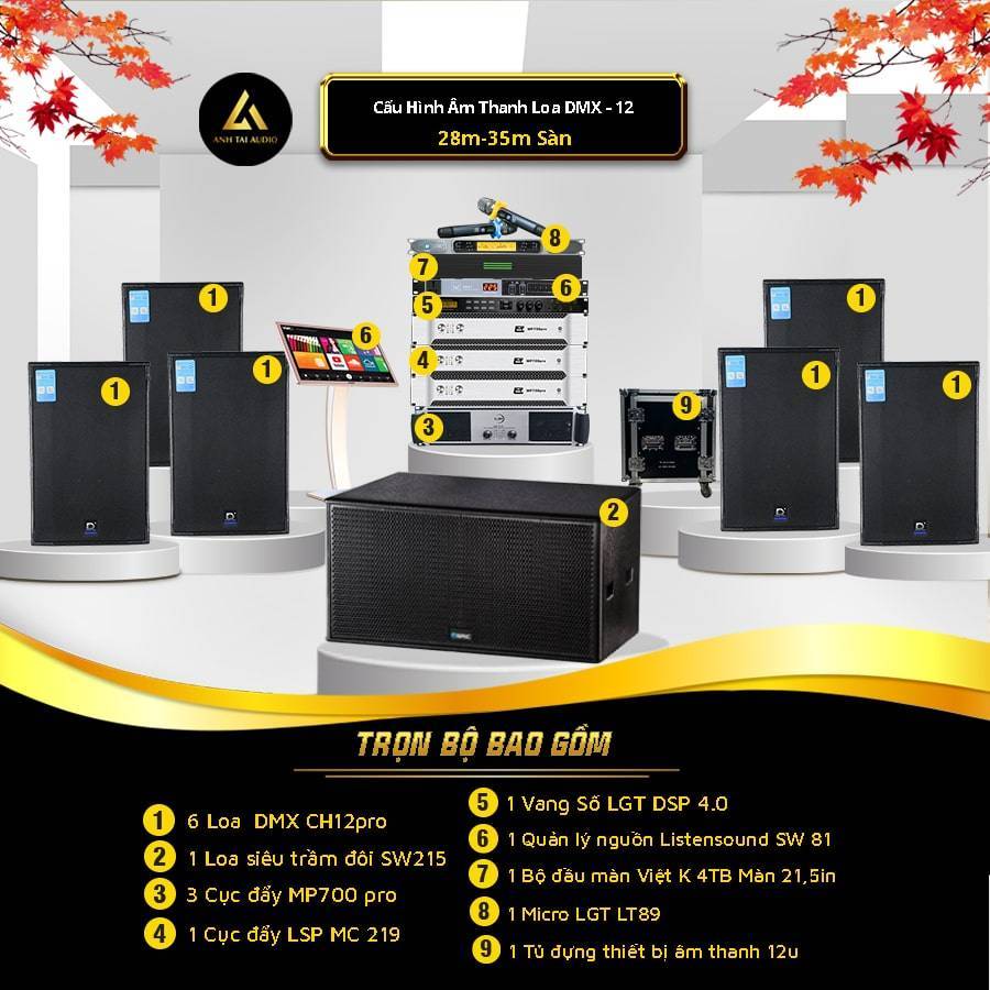 Cấu hình bộ dàn karaoke kinh doanh DMX 12 cho phòng 28-35m2 