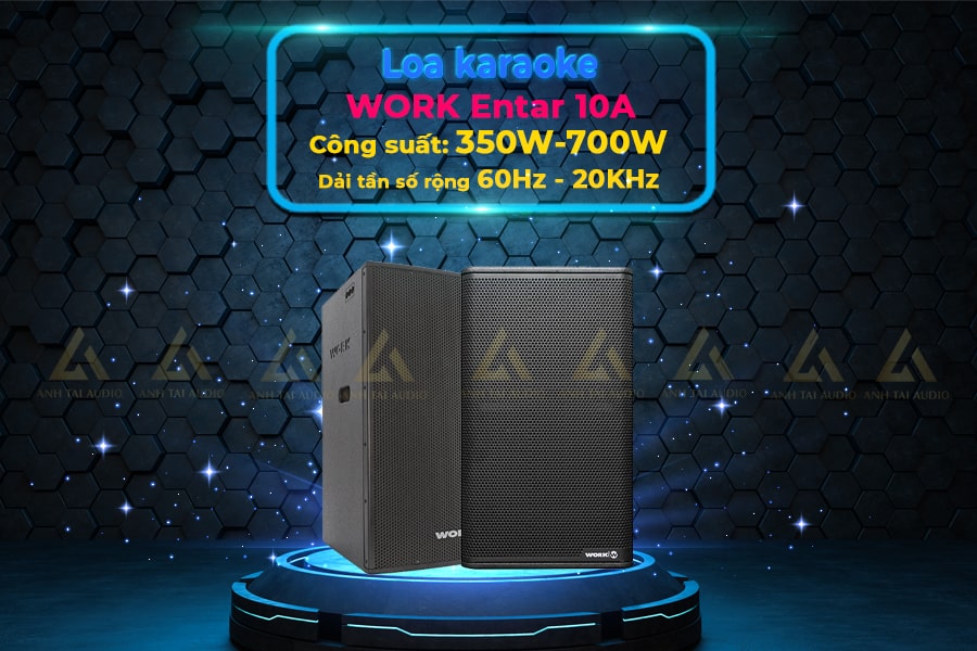 Loa karaoke WORK Entar 10A