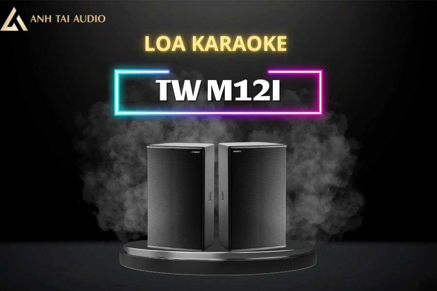 Loa karaoke TW M12i